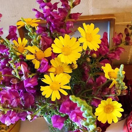 Gizimina B&B By Verosole Xagħra Eksteriør billede